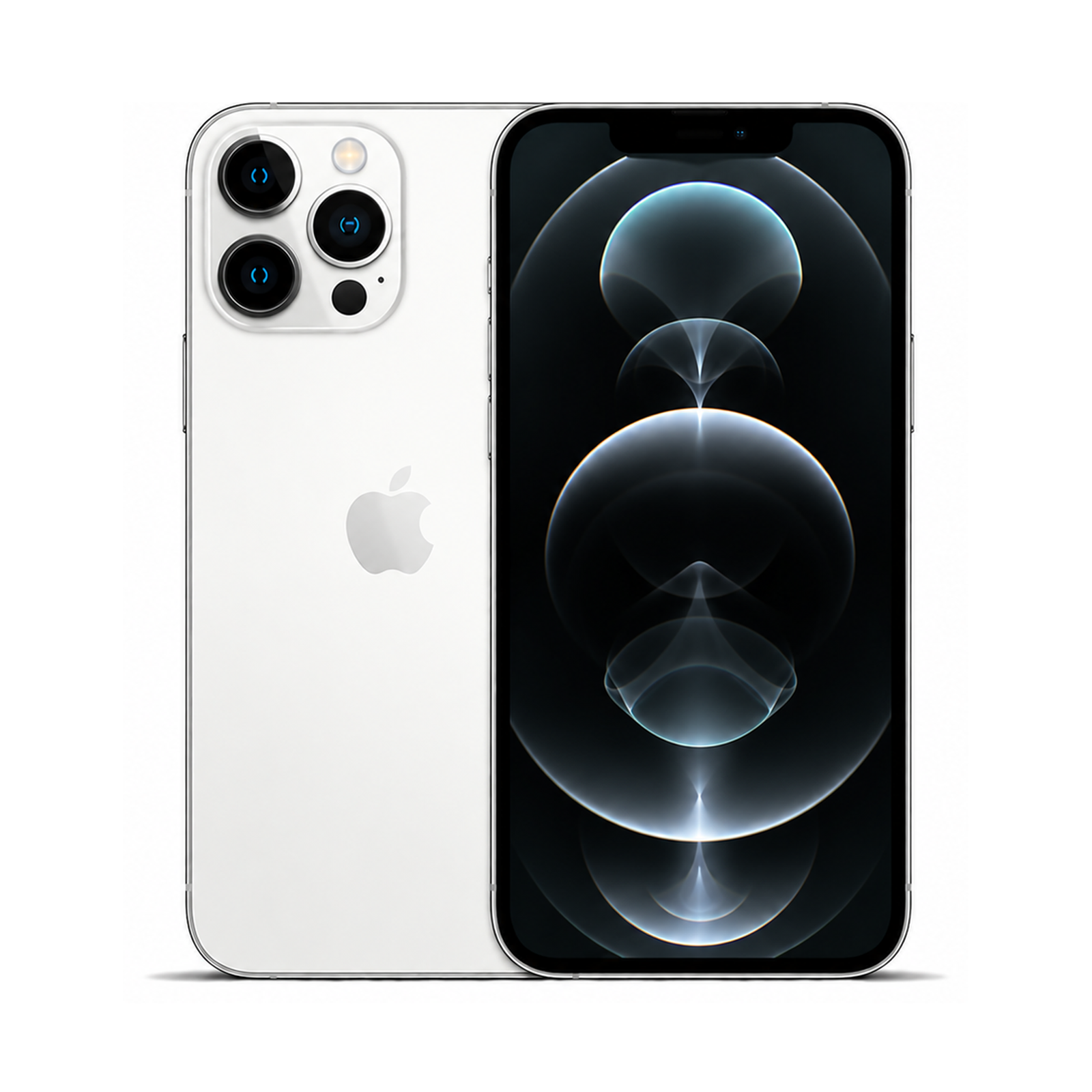 COCO standard image - iPhone 13 Pro Max